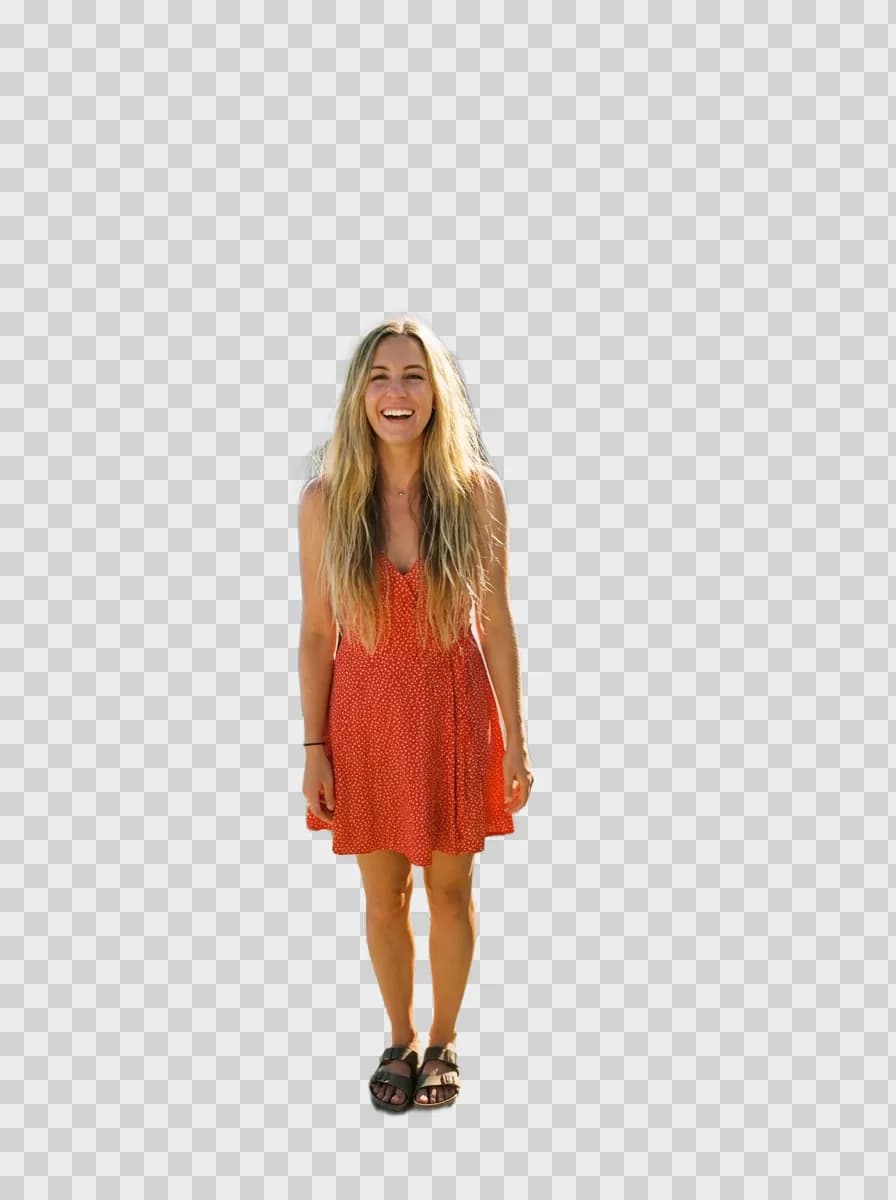 Background remover